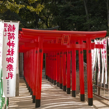 torii_gates.jpg